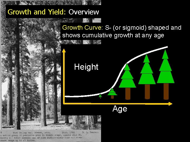 Growth and Yield: Overview Growth Curve: S- (or sigmoid) shaped and shows cumulative growth