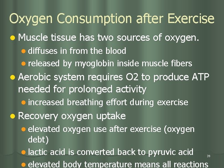 Oxygen Consumption after Exercise l Muscle tissue has two sources of oxygen. l diffuses