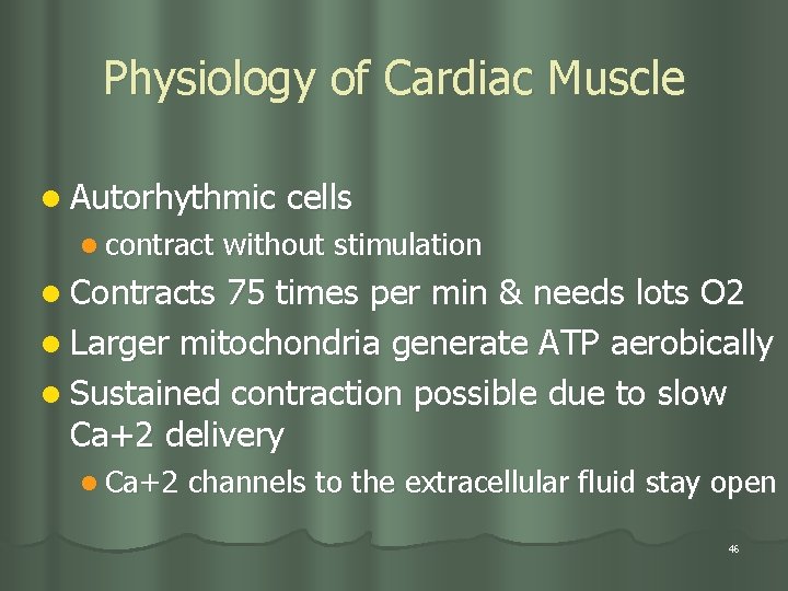 Physiology of Cardiac Muscle l Autorhythmic l contract cells without stimulation l Contracts 75