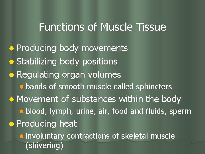 Functions of Muscle Tissue l Producing body movements l Stabilizing body positions l Regulating