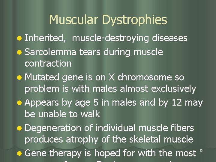 Muscular Dystrophies l Inherited, muscle-destroying diseases l Sarcolemma tears during muscle contraction l Mutated