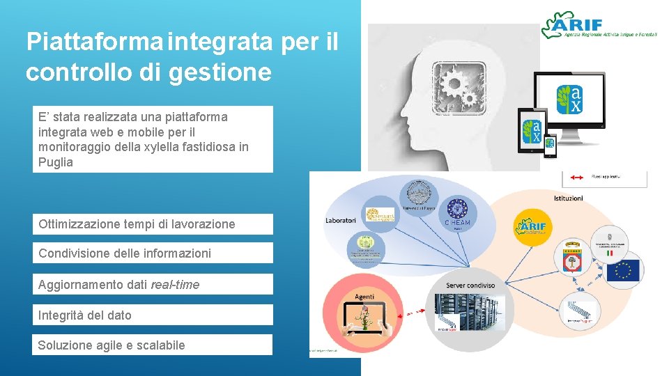 Piattaforma integrata per il controllo di gestione E’ stata realizzata una piattaforma integrata web