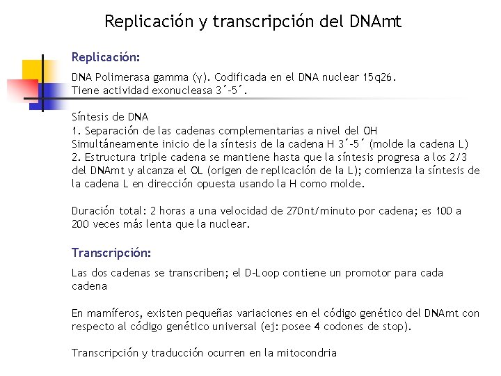 Replicación y transcripción del DNAmt Replicación: DNA Polimerasa gamma (γ). Codificada en el DNA