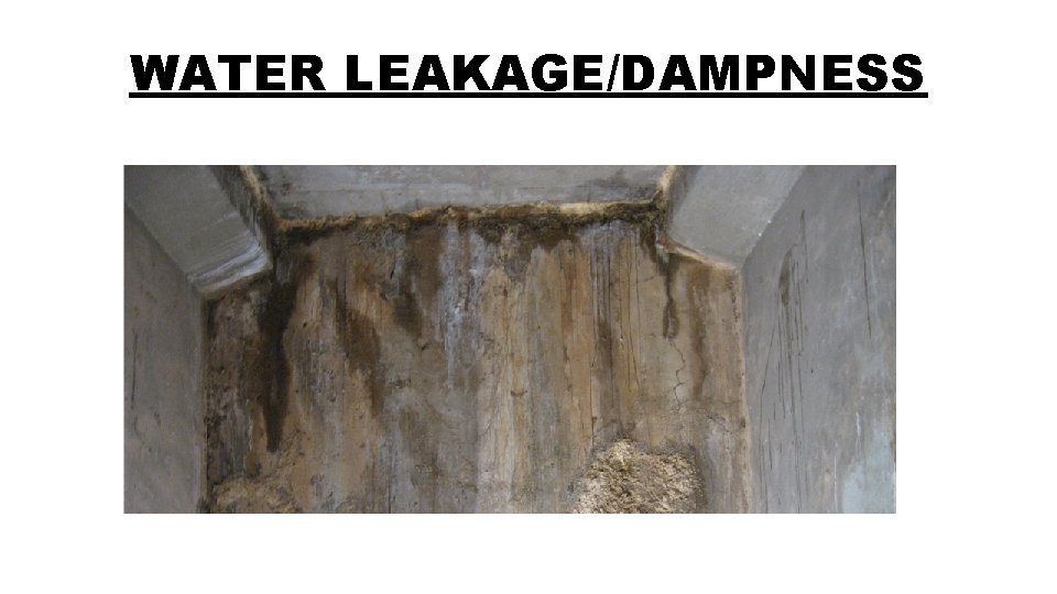 WATER LEAKAGE/DAMPNESS 