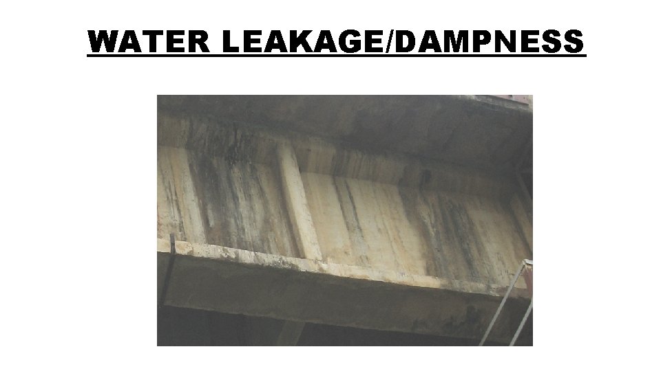 WATER LEAKAGE/DAMPNESS 