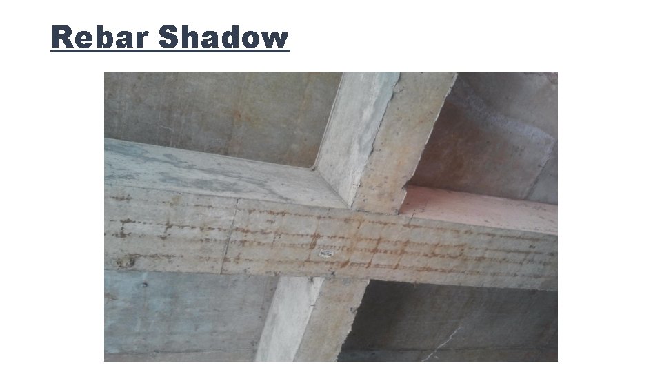 Rebar Shadow 