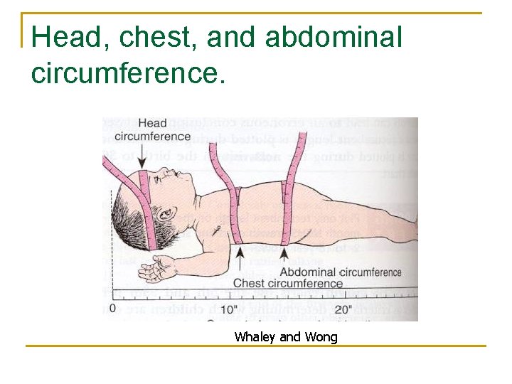 Head, chest, and abdominal circumference. Whaley and Wong 