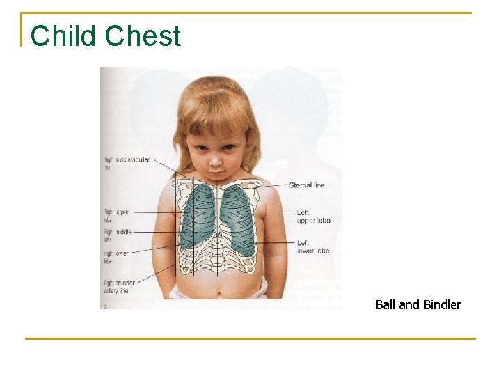 Child Chest Ball and Bindler 