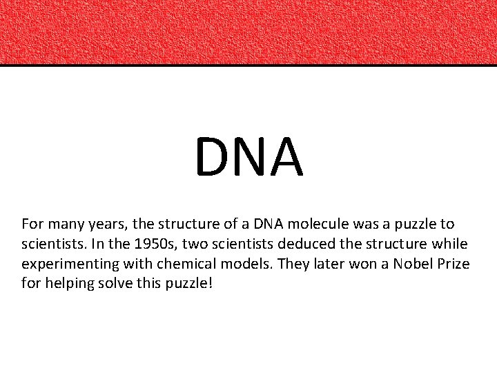 DNA For many years, the structure of a DNA molecule was a puzzle to