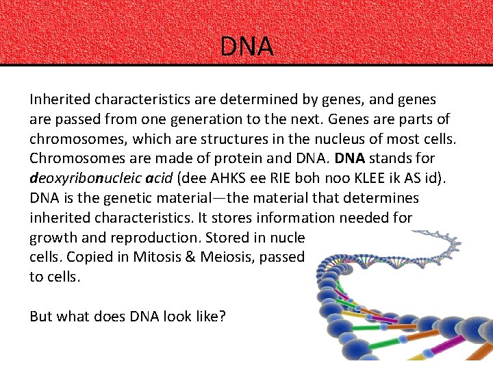 DNA Inherited characteristics are determined by genes, and genes are passed from one generation