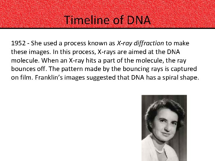 Timeline of DNA 1952 - She used a process known as X-ray diffraction to