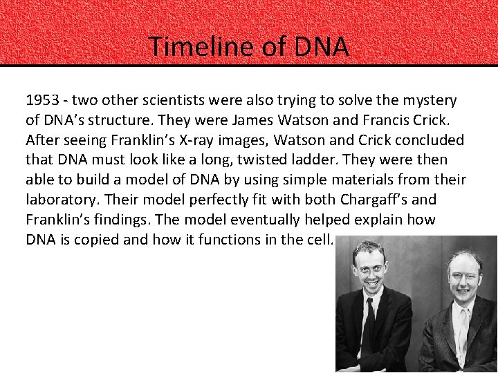 Timeline of DNA 1953 - two other scientists were also trying to solve the