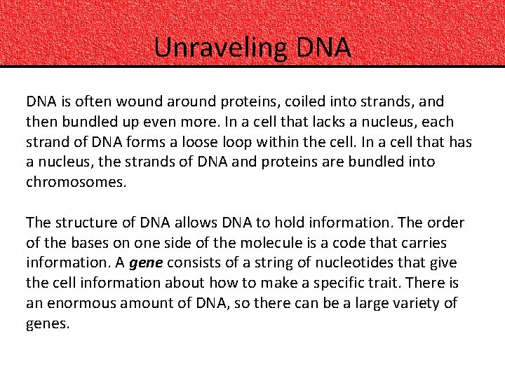 Unraveling DNA is often wound around proteins, coiled into strands, and then bundled up