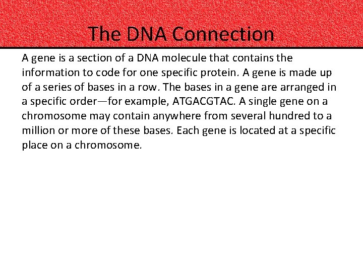 The DNA Connection A gene is a section of a DNA molecule that contains