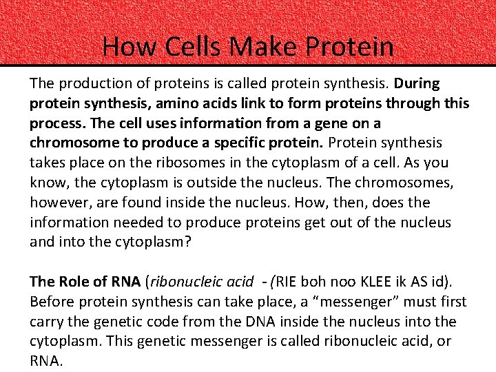 How Cells Make Protein The production of proteins is called protein synthesis. During protein