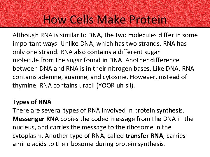 How Cells Make Protein Although RNA is similar to DNA, the two molecules differ