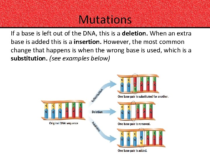 Mutations If a base is left out of the DNA, this is a deletion.