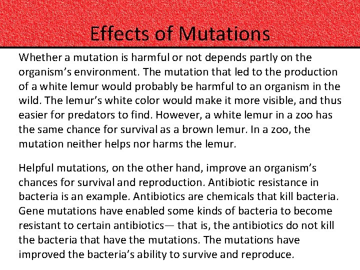 Effects of Mutations Whether a mutation is harmful or not depends partly on the