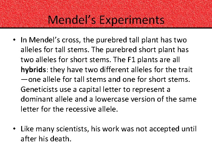 Mendel’s Experiments • In Mendel’s cross, the purebred tall plant has two alleles for