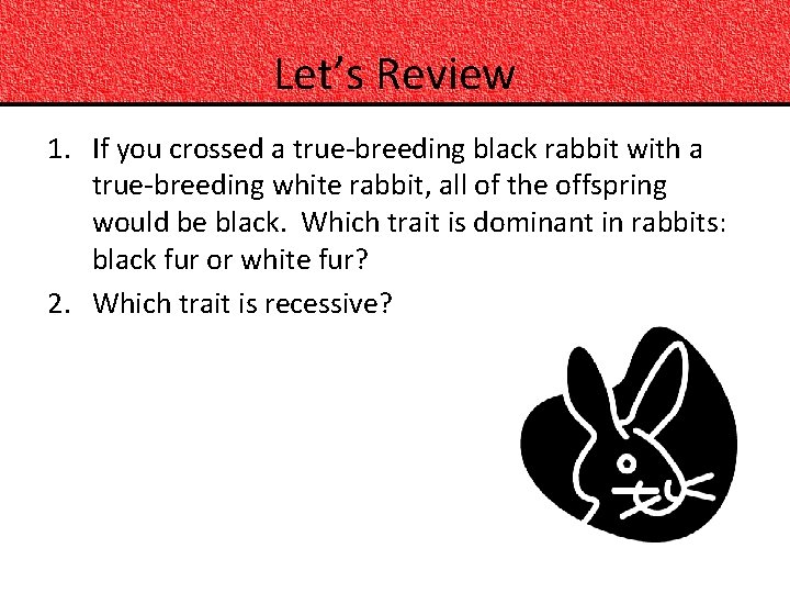 Let’s Review 1. If you crossed a true-breeding black rabbit with a true-breeding white