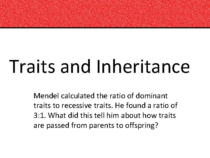 Traits and Inheritance Mendel calculated the ratio of dominant traits to recessive traits. He