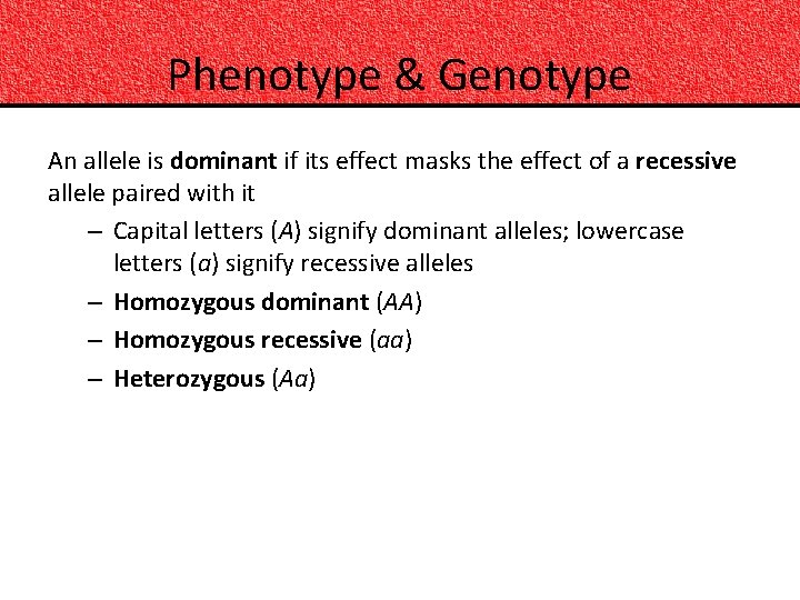 Phenotype & Genotype An allele is dominant if its effect masks the effect of