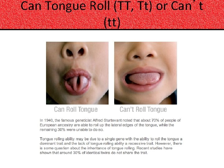 Can Tongue Roll (TT, Tt) or Can’t (tt) 