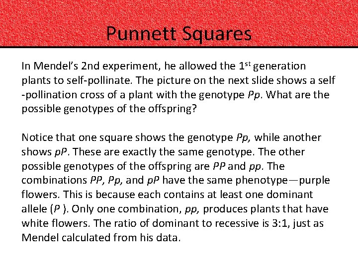 Punnett Squares In Mendel’s 2 nd experiment, he allowed the 1 st generation plants