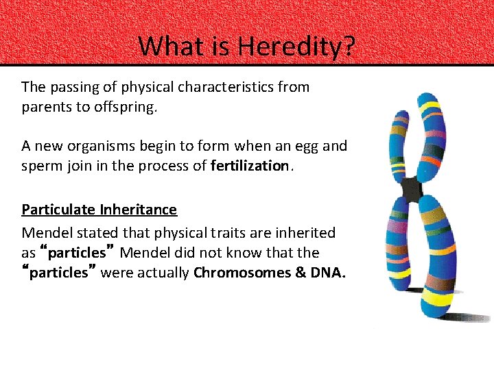 What is Heredity? The passing of physical characteristics from parents to offspring. A new