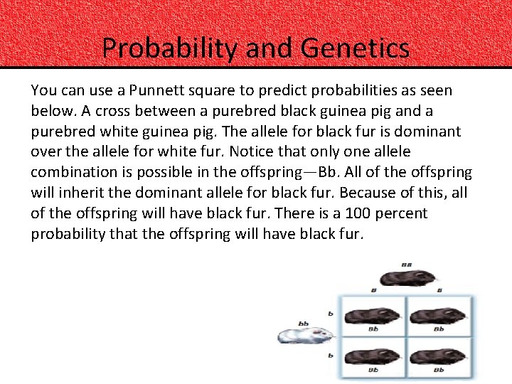 Probability and Genetics You can use a Punnett square to predict probabilities as seen