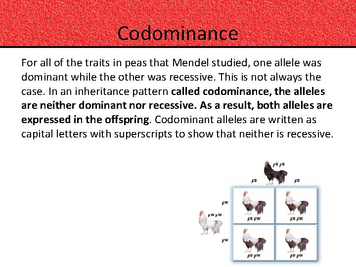 Codominance For all of the traits in peas that Mendel studied, one allele was