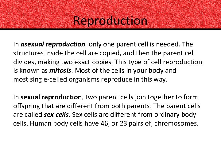 Reproduction In asexual reproduction, only one parent cell is needed. The structures inside the