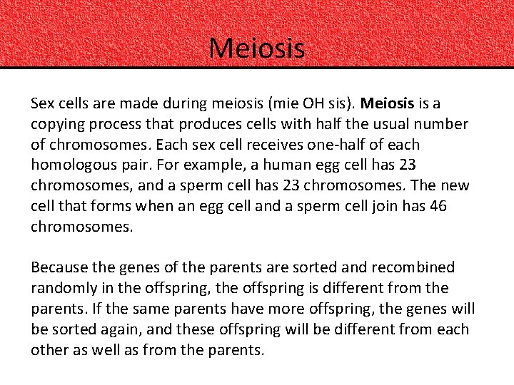 Meiosis Sex cells are made during meiosis (mie OH sis). Meiosis is a copying