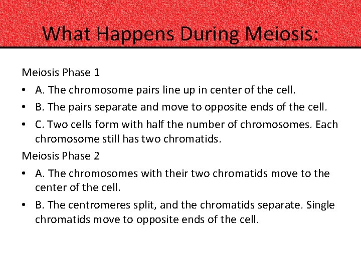 What Happens During Meiosis: Meiosis Phase 1 • A. The chromosome pairs line up