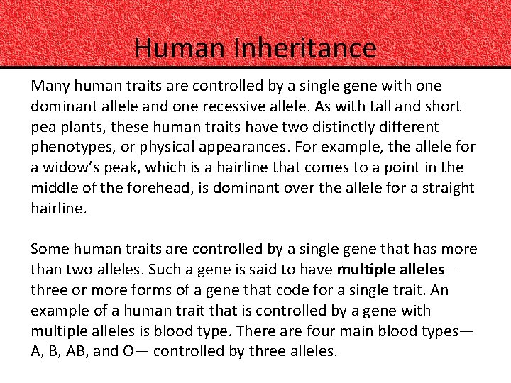 Human Inheritance Many human traits are controlled by a single gene with one dominant