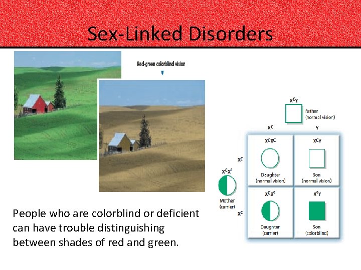 Sex-Linked Disorders People who are colorblind or deficient can have trouble distinguishing between shades