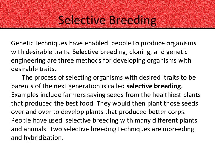 Selective Breeding Genetic techniques have enabled people to produce organisms with desirable traits. Selective