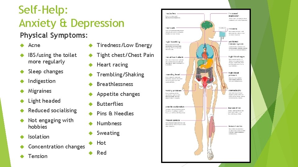 Self-Help: Anxiety & Depression Physical Symptoms: Acne Tiredness/Low Energy IBS/using the toilet more regularly Self-Help: Anxiety & Depression Physical Symptoms: Acne Tiredness/Low Energy IBS/using the toilet more regularly