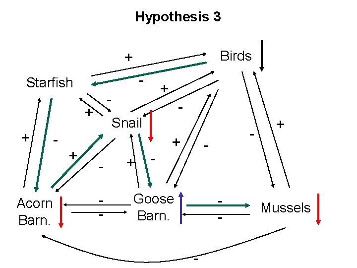 Hypothesis 3 Birds + - Starfish - + + Acorn Barn. - + +