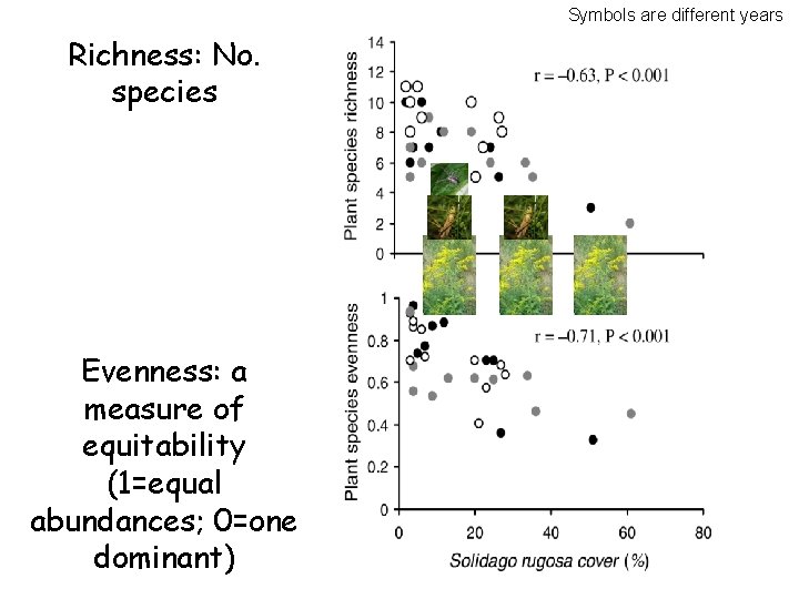 Symbols are different years Richness: No. species Evenness: a measure of equitability (1=equal abundances;