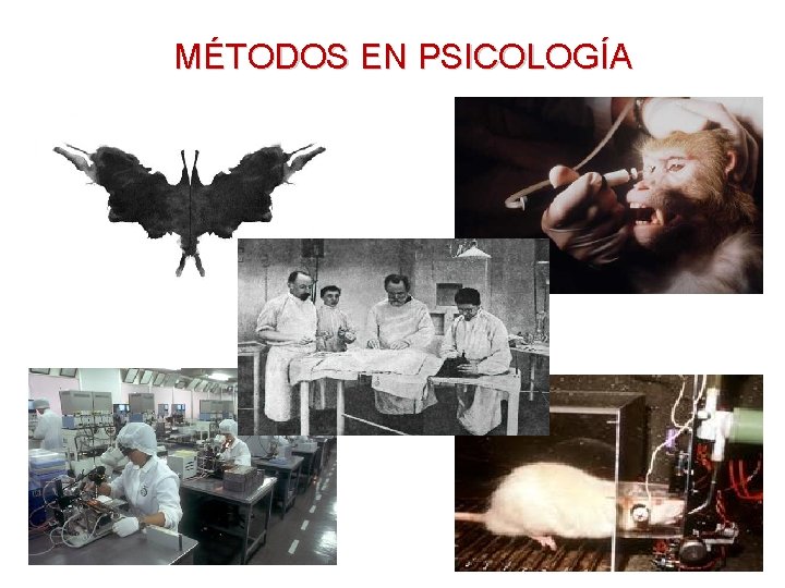 MÉTODOS EN PSICOLOGÍA 