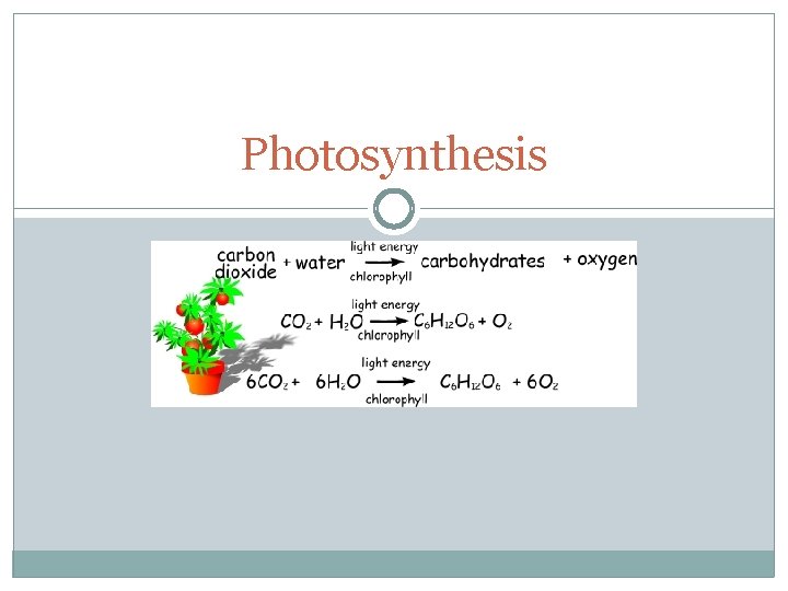 Photosynthesis 