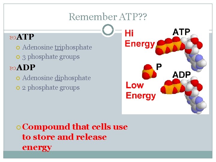 Remember ATP? ? ATP Adenosine triphosphate 3 phosphate groups ADP Adenosine diphosphate 2 phosphate