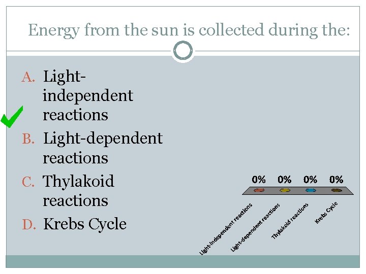 Energy from the sun is collected during the: A. Light- independent reactions B. Light-dependent