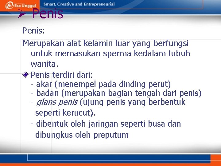 Ø Penis: Merupakan alat kelamin luar yang berfungsi untuk memasukan sperma kedalam tubuh wanita.