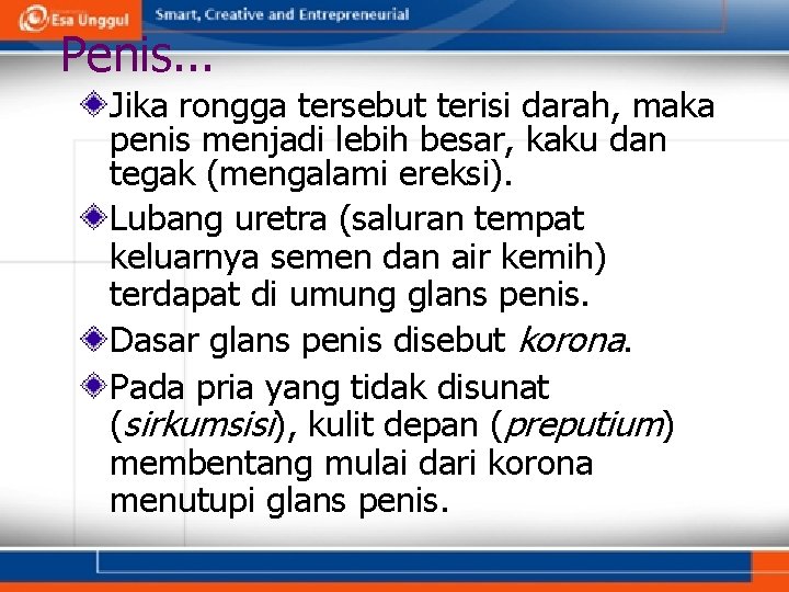 Penis. . . Jika rongga tersebut terisi darah, maka penis menjadi lebih besar, kaku