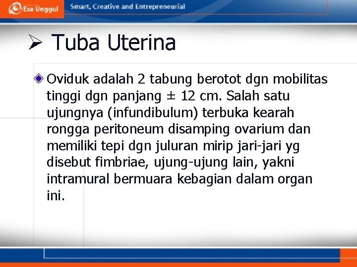 Ø Tuba Uterina Oviduk adalah 2 tabung berotot dgn mobilitas tinggi dgn panjang ±