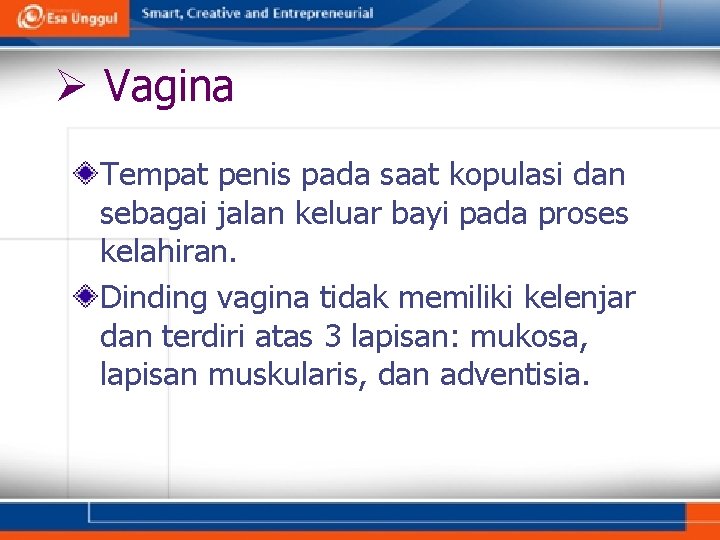 Ø Vagina Tempat penis pada saat kopulasi dan sebagai jalan keluar bayi pada proses