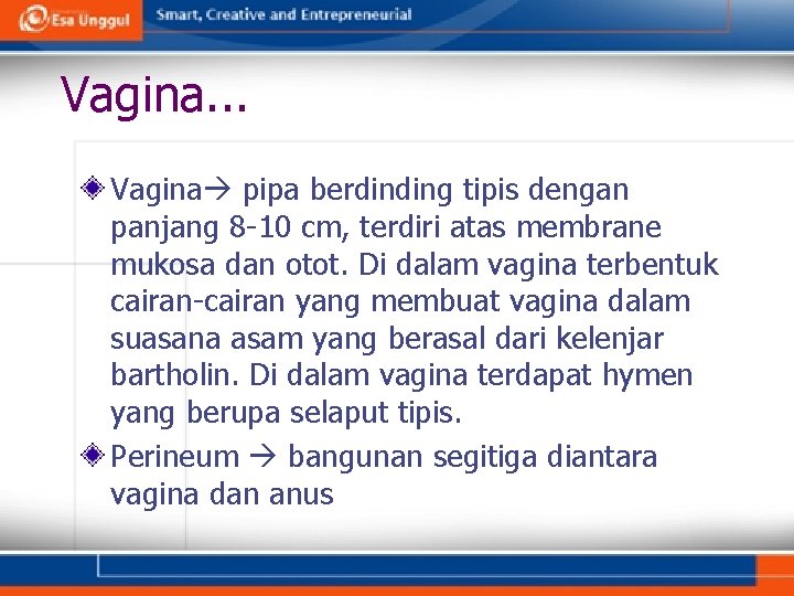 Vagina. . . Vagina pipa berdinding tipis dengan panjang 8 -10 cm, terdiri atas