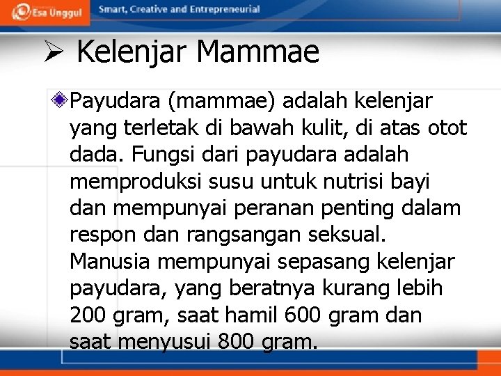 Ø Kelenjar Mammae Payudara (mammae) adalah kelenjar yang terletak di bawah kulit, di atas